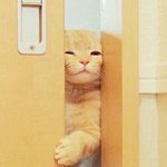 [ㅋㅋㅋㅋㅋ] <b>시원</b>해지니까 안 좋은 점....