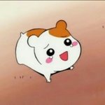 [댓글부탁해] 얘들아 너네 <b>콤플렉스</b> 있어 ??