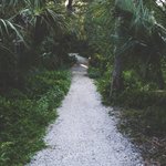 [드루와] 개인적으로 <b>asmr</b> 잘하시는거같은유투버!