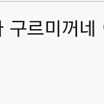 [댓글부탁해] 현<b>시각</b> 구르미극성팬들의 만행