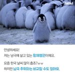 [댓글부탁해] 아 내동생 이상한 <b>펭귄</b>노래틀고 자고있음