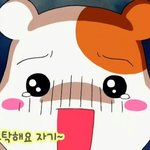 세벽인데 설렜던<b>일화</b> 쓰구가!!