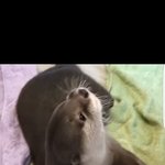 [BAP] 너의 <b>부엌</b>을 난 보면서