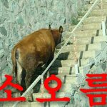 [EXO] ㅋㅋ 열폭아 난 가니 자꾸 <b>소환</b>하지 말고