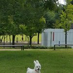 ㅅㅂㅋㅋㅋㅋㅋ우리학교 드디어 <b>미침</b>ㅋㅋㅋㅋㅋㅋㅋㅋㅋㅋㅋㅋ