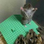 오늘 정말 <b>운도</b>지지리없지