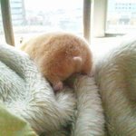 [드루와] 나 앞으로 선<b>댓</b>만 달아야지