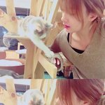 [에이핑크] 이런 <b>사진</b>들 보면 애들이랑 겨론하고 싶음