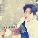 男아이돌이 키우는 반려<b>견들</b>
