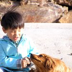 [훈이랑냥멍] 막둥이 동생 훈군과 냥이 멍이들 이야기 - 2016년...