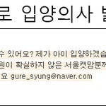 영악이 입양진행부터 입양취소까지의 내용 정리