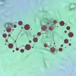 [인피니트] 밑에 토기가 말한 돌연<b>변이</b> 말이야!