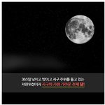 [꼭조언부탁] 여자친구 기념일 선물로 반지랑 달 땅 <b>문서</b> 어때요?