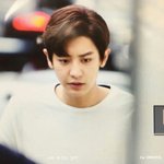 [EXO] 찬열이도 출근