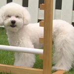 [VIVI] 헐ㅋㅋ요새 엑톡노잼어그로<b>여서</b> 안왔었는데