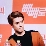 [세훈] 160902 <b>빼빼</b>로 팬싸 프리뷰2