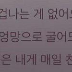 이런애들특징이뭐임?