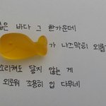 [방탄소년단] 젤리 먹는데 고래가 있길래