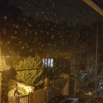 [조언부탁] 이거뭐죠 무서운데