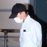 지디랑 <b>비버</b> 목뒤에