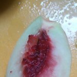 [EXO] ㄹㅇ 복숭아 어떻게 깎냐