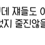 [댓글부탁해] 아는 애가 내 가수를 욕했는데ㅋㅋ