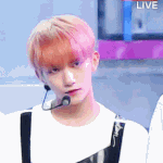 [세븐틴] ㅅㄷ)큐엔에이 <b>연애</b>고사중에 있잖아