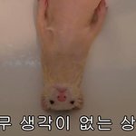 복숭아 <b>말랑이</b>가 좋아?딱딱이가 좋아?