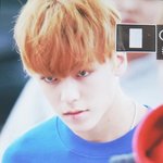 [세븐틴] 이거약간