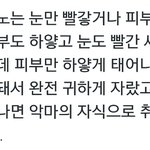[팬픽] ㅅㄷ)셎쮼) 이거 완전 셋쮼이지 않니?