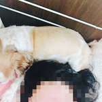 <b>눈썹</b> <b>타투</b>중 ㅋㅋㅋㅋㅎㅎ