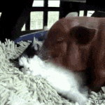 <b>긴말</b> 필요없고 하자