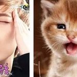 [시우민] 민석이랑 냥이 <b>윙크</b> >.-