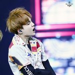 [방탄소년단] 점점 닮아가네