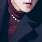[EXO] 애들 코트입은거 상상하면