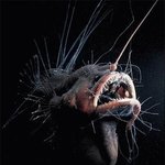 비주얼부터 충격적인 심해<b>생물</b>