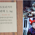 [시우민] 웅녀들이 슈람쥐에게 <b>먹이</b>주러 감미다(시우민)