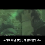[댓글부탁해] <b>갈색</b>냉 노란색냉 연두색냉 뭐야?