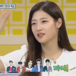 [댓글부탁해] 성공한 샤이니 <b>빠순이</b> 정채연.jpg