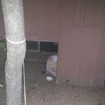 따뜻한 우리아파트~ 엄마잃은 아기고양이 <b>주민</b>들이 보살펴준사연!!