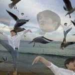 [방탄소년단] 내가 티저 4개 엮이는거궁예해본다