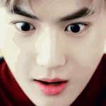 [EXO] 어그로 타퀴 진짜 개웃기닼ㅋㅋㅋㅋㅋㅋㅋ