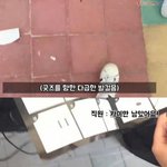 [EXO] 카이 굿즈만 안팔리는 <b>잔인</b>한 현실