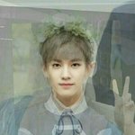 [세븐틴] 톡선베댓 이거 추천눌러