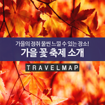 [여행이야기] 가을 꽃 <b>축제</b> 소개