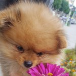 알콩이의 처음. 그날들