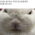 [댓글부탁해] 얘들아 너네라면 얘랑 친구할거야?