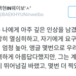 [백현] 160906 스케쳐스 <b>스탭</b> 웨이보 백현