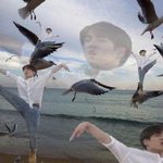 [이삐] 이삐들 고척돔 자리