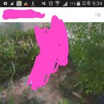 [에이핑크] 어..? <b>백설</b>공주컨셉...?